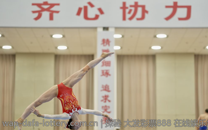 探秘 大发彩票888 在线娱乐场的魅力