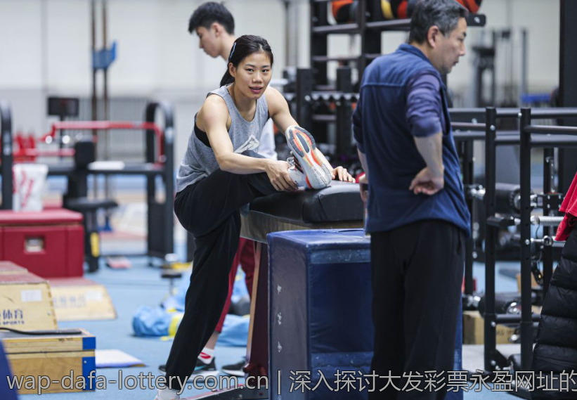 深入探讨大发彩票永盈网址的优势