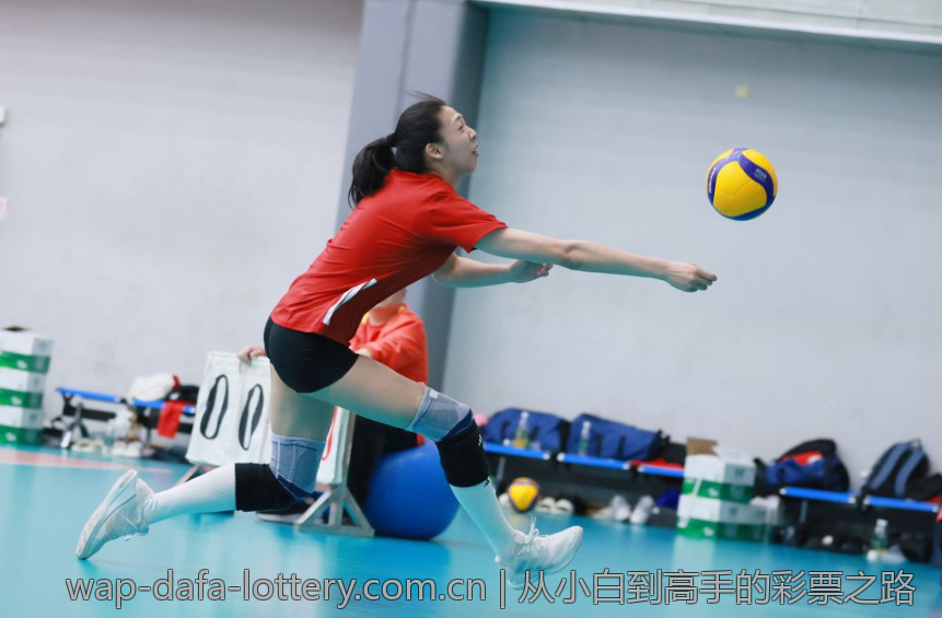 从小白到高手的彩票之路